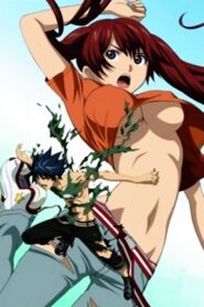 Air Gear: Kuro no Hane to Nemuri no Mori – Break on the Sky (OVA)
