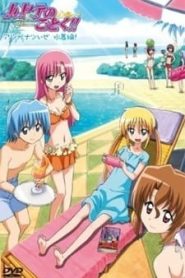 Hayate no Gotoku!!: Atsu ga Natsuize – Mizugi-hen!