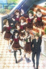 Hibike! Euphonium: Ensemble Contest-hen