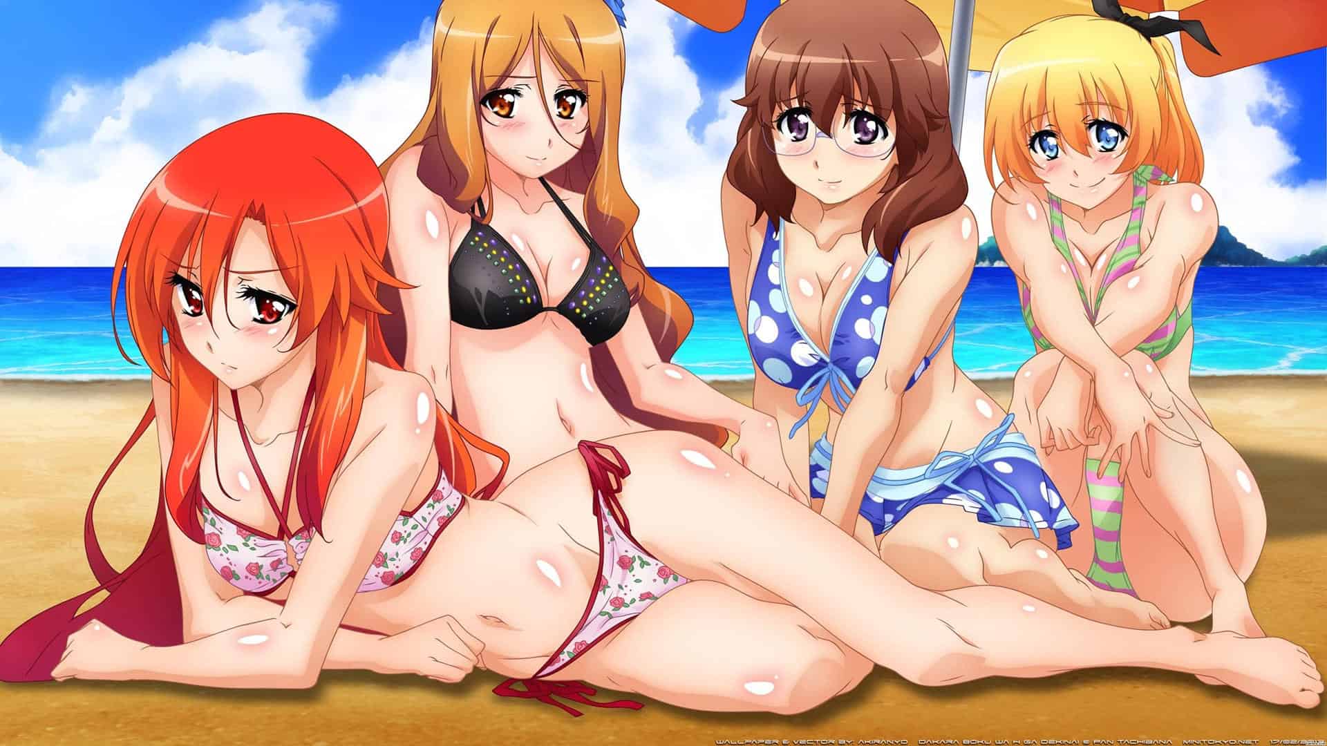 Dakara Boku wa, H ga Dekinai. Mie Sugi! Mizugi Contest