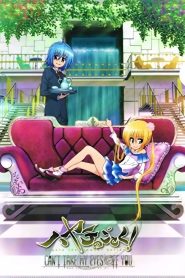 Hayate no Gotoku! Can’t Take My Eyes Off You (Season 3)