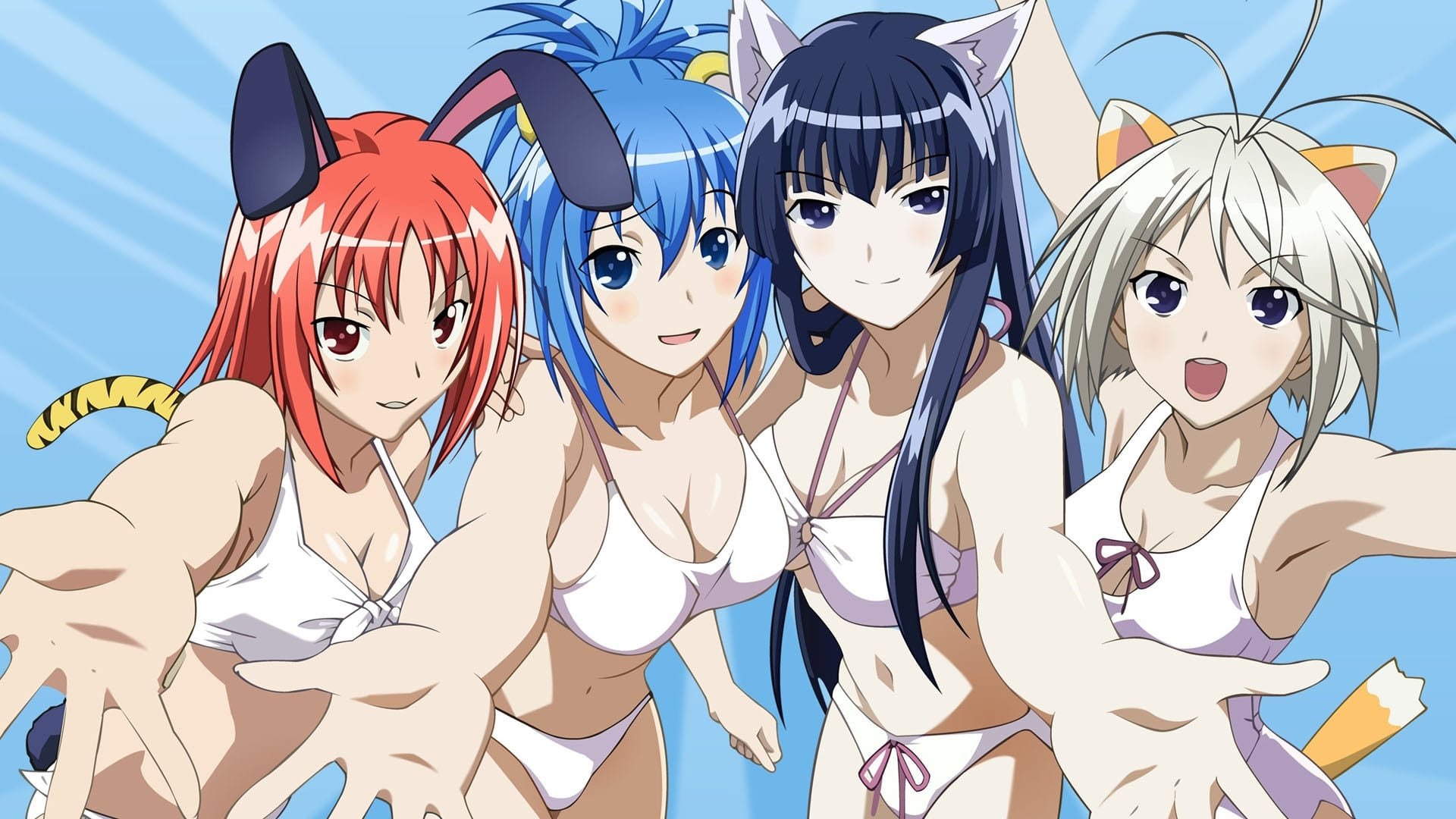 Kampfer: Fur die Liebe