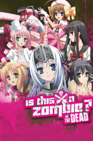 Kore wa Zombie desu ka? of the Dead (Season 2)