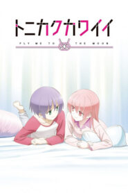 Tonikaku Kawaii: SNS (OVA)