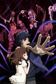 Big Order (TV)