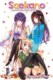 Saenai Heroine no Sodatekata