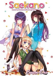 Saenai Heroine no Sodatekata