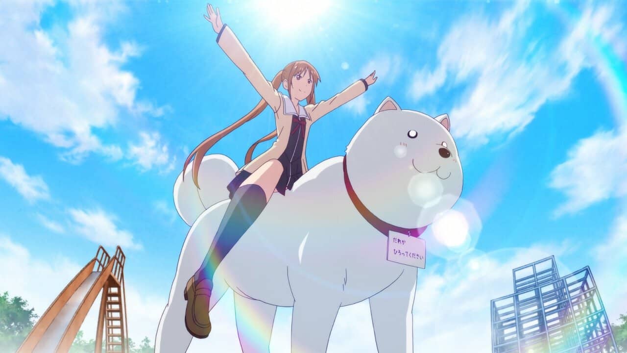 Aho Girl