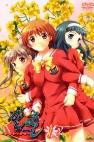 Kashimashi: Girl Meets Girl