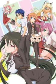 Mayo Chiki!