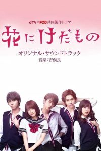 Flower and the Beast Season 1