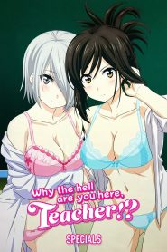 Nande Koko ni Sensei ga!? Nande Koko ni Sensei-tachi ga!?
