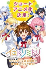 Irodorimidori