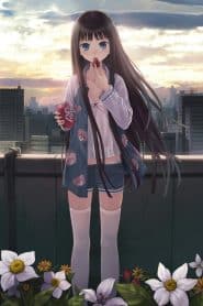 Kamisama no Memochou