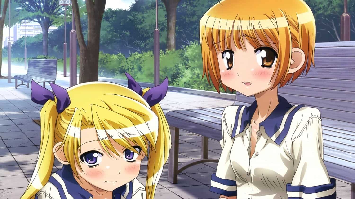 Oniichan no Koto nanka Zenzen Suki ja Nai n da kara ne!! Special