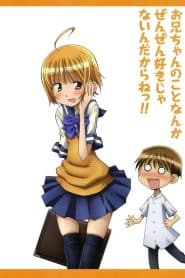 Oniichan no Koto nanka Zenzen Suki ja Nai n da kara ne!! Special