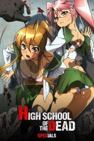 Highschool of the Dead: Drifters of the Dead