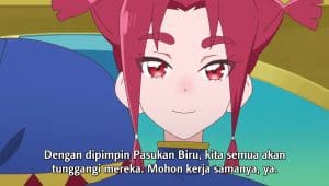 Hirogaru Sky! Precure Episode 24