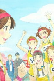 Hikari: Kariya wo Tsunagu Monogatari