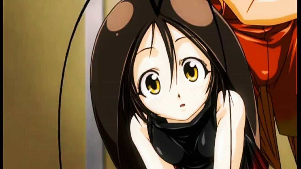 Gokicha!!