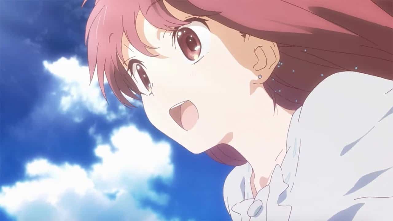 Shelter (Music)