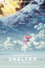 Shelter (Music)