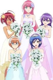Bokutachi wa Benkyou ga Dekinai! Chapel no Kane wa [X] wo Shukufuku Suru