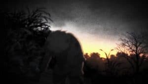 Zankyou no Terror Episode 6