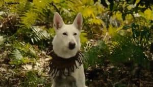 Attack on Titan: Counter Rockets Season 1 Episode 2