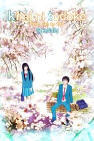Kimi ni Todoke: Kataomoi