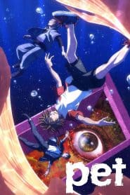 Pet